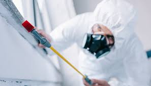 Best Termite Inspection and Treatment  in Avon, PA